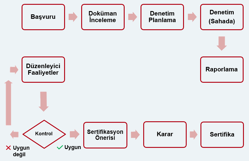 Sertifikasyon